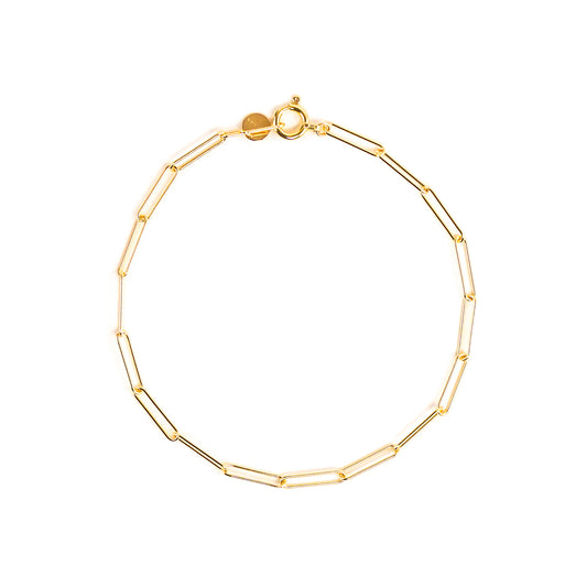 Clip Chain Bracelet